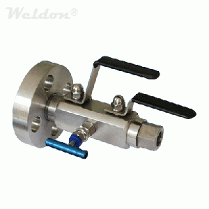 Double Block & Bleed Ball Valve, A182 F316, 1/2 Inch, 300LB, Thread